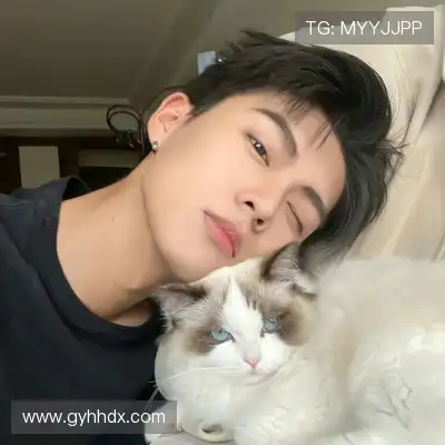 舒舜飚